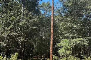 24445 Pipestem Dr, Magnolia, TX 77355 - Photo 10