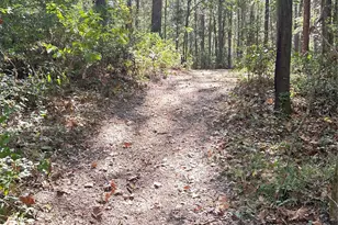 24445 Pipestem Dr, Magnolia, TX 77355 - Photo 6