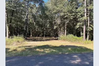 24445 Pipestem Drive, Magnolia, TX 77355 - Photo 2