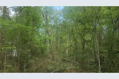 Lot 6 Thornwood Drive, Plantersville, TX 77363 - Photo 14