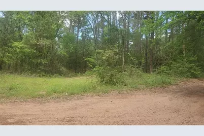 Lot 6 Thornwood Drive, Plantersville, TX 77363 - Photo 36