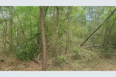 Lot 6 Thornwood Drive, Plantersville, TX 77363 - Photo 18