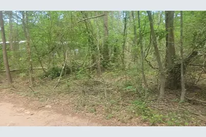 Lot 6 Thornwood Drive, Plantersville, TX 77363 - Photo 24