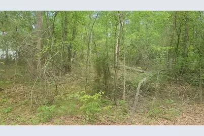 Lot 6 Thornwood Drive, Plantersville, TX 77363 - Photo 12