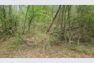 Lot 6 Thornwood Drive, Plantersville, TX 77363 - Photo 22