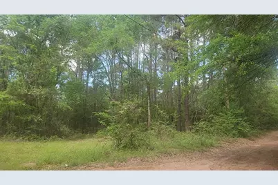 Lot 6 Thornwood Drive, Plantersville, TX 77363 - Photo 38