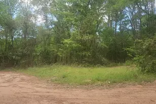 Lot 6 Thornwood Dr, Plantersville, TX 77363 - Photo 1