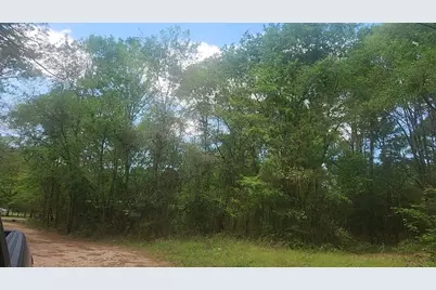 Lot 6 Thornwood Drive, Plantersville, TX 77363 - Photo 40