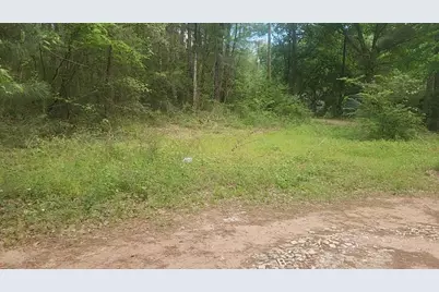 Lot 6 Thornwood Drive, Plantersville, TX 77363 - Photo 28