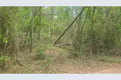 Lot 6 Thornwood Drive, Plantersville, TX 77363 - Photo 20