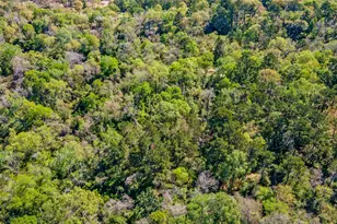 00 Lilac Ln, New Caney, TX 77357 - Photo 8