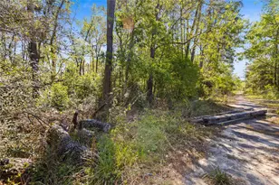 00 Lilac Ln, New Caney, TX 77357 - Photo 14