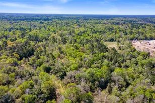 00 Lilac Ln, New Caney, TX 77357 - Photo 6