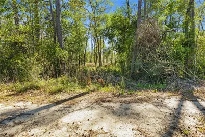 00 Lilac Lane, New Caney, TX 77357 - Photo 12