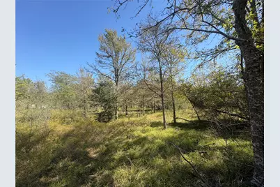 13.051 Acres Independence Drive, Bedias, TX 77831 - Photo 46