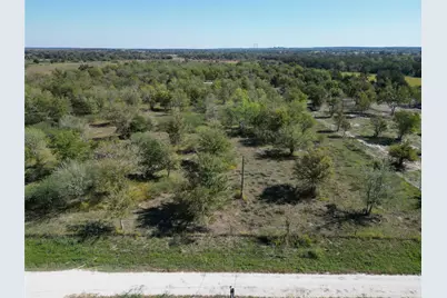 13.051 Acres Independence Drive, Bedias, TX 77831 - Photo 10