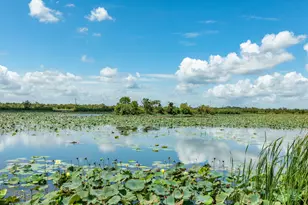 2138 Twin Lakes Blvd, West Columbia, TX 77486 - Photo 28