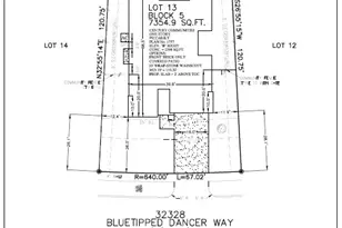 32328 Bluetipped Dancer, Fulshear, TX 77441 - Photo 4