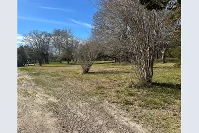 0 County Road 179, Alvin, TX 77511 - Photo 6