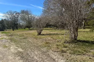 0 County Road 179, Alvin, TX 77511 - Photo 6