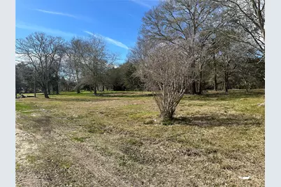 0 County Road 179, Alvin, TX 77511 - Photo 1