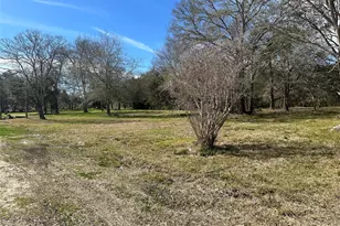 0 County Road 179, Alvin, TX 77511 - Photo 1