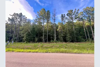 1682 Road 66115, Dayton, TX 77535 - Photo 6