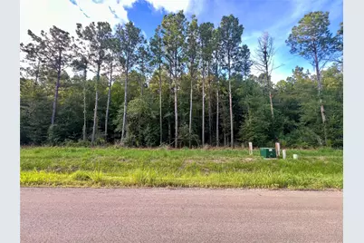 1682 Road 66115, Dayton, TX 77535 - Photo 2