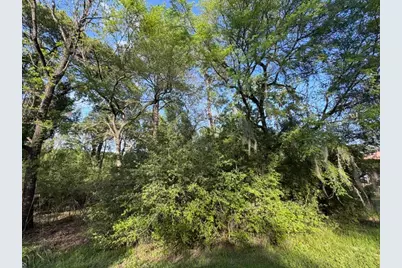 Tbd10 Coral Gables, Trinity, TX 75862 - Photo 12