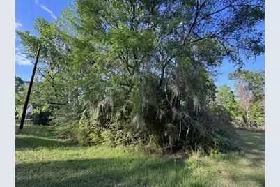 Tbd10 Coral Gables, Trinity, TX 75862 - Photo 10