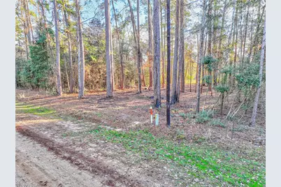 171 Pine Shadow Street, Coldspring, TX 77331 - Photo 2