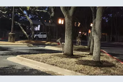 4100 Firstview Drive, Austin, TX 78731 - Photo 12