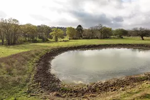 20136 Moriarty Rd, Richards, TX 77873 - Photo 12