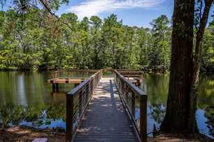 22018 Boca Chita Wy, Porter, TX 77365 - Photo 12