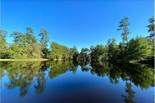 30 Pale Dawn Pl, The Woodlands, TX 77381 - Photo 50