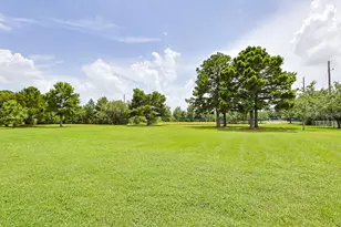 30202 Post Oak Run, Magnolia, TX 77355 - Photo 48
