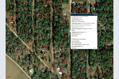 250 Bobby Baer Road, Livingston, TX 77351 - Photo 2