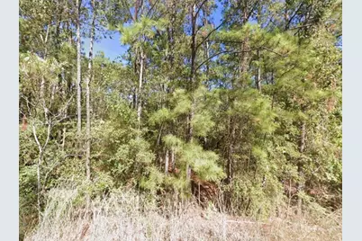 0 Creekside Harbor, Onalaska, TX 77360 - Photo 1