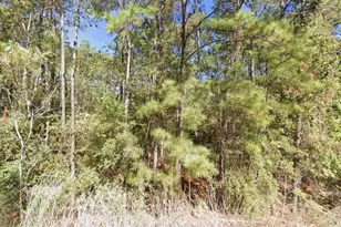 0 Creekside Harbor, Onalaska, TX 77360 - Photo 1