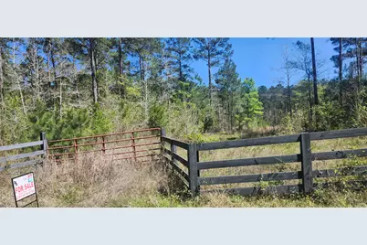 668 Wheeler Road, Livingston, TX 77351 - Photo 4