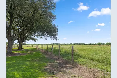 9919 Bohacek Road, Beasley, TX 77417 - Photo 44