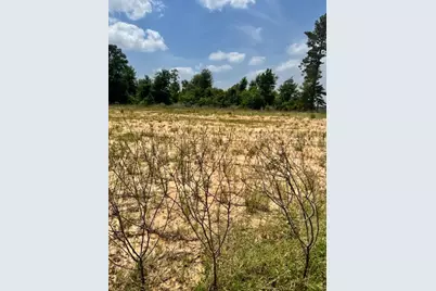 508 Road 5915 15, Cleveland, TX 77327 - Photo 1
