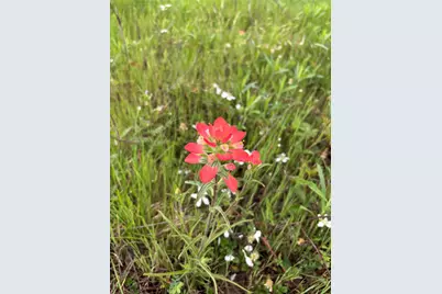 11151 E Fm 485, Cameron, TX 76520 - Photo 12