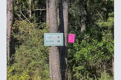 185 Rim Rock Road, Huntsville, TX 77340 - Photo 6