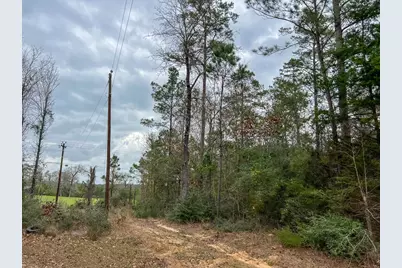 T-4 County Road 1019, Newton, TX 75966 - Photo 8