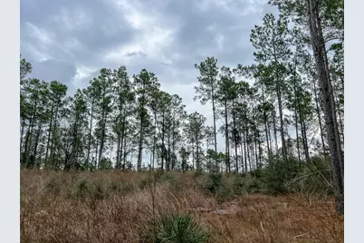 T-4 County Road 1019, Newton, TX 75966 - Photo 4