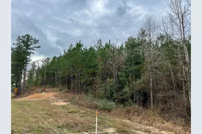 T-4 County Road 1019, Newton, TX 75966 - Photo 12