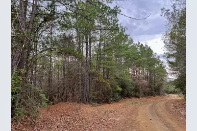 T-4 County Road 1019, Newton, TX 75966 - Photo 6