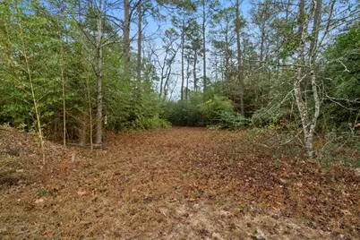 Tbd Winding Hill, Magnolia, TX 77354 - Photo 2