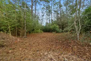 Tbd Winding Hill, Magnolia, TX 77354 - Photo 2